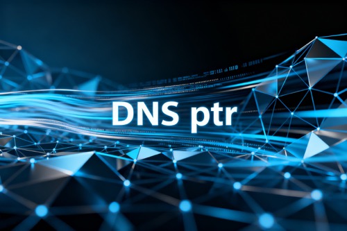 DNS ptr
