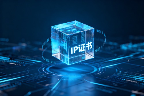 IP证书