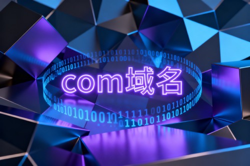 com域名