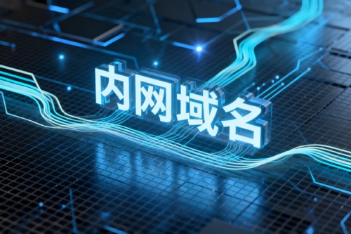 内网域名