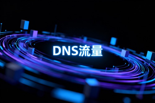 DNS流量