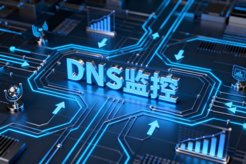 DNS监控