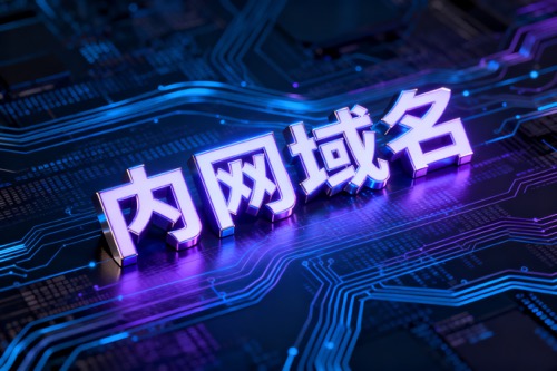 内网域名