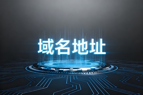 域名地址