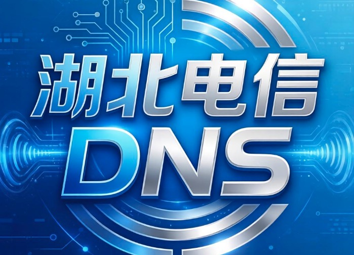 湖北电信DNS