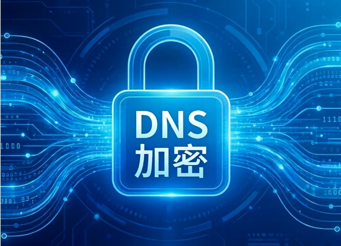 DNS加密