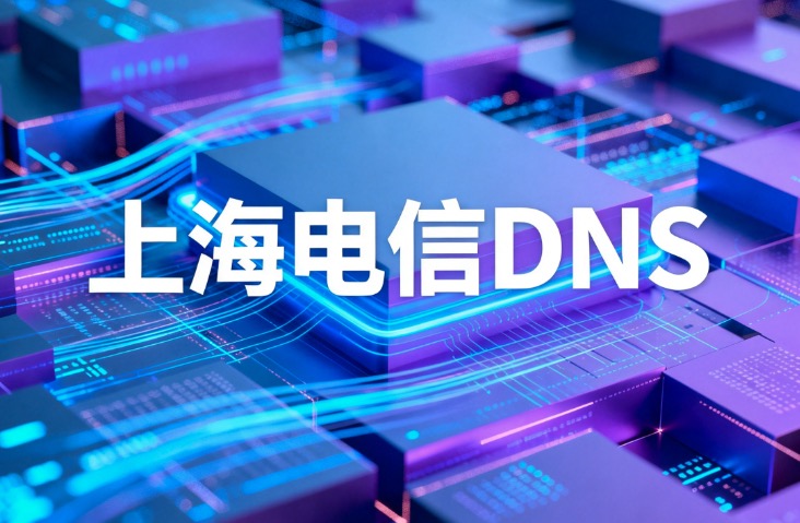 上海电信DNS
