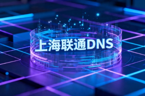 上海联通DNS