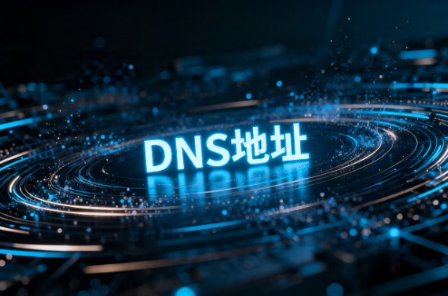DNS地址