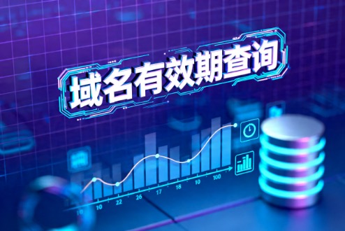 域名有效期查询