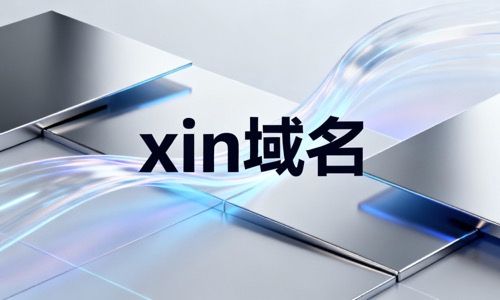 xin域名