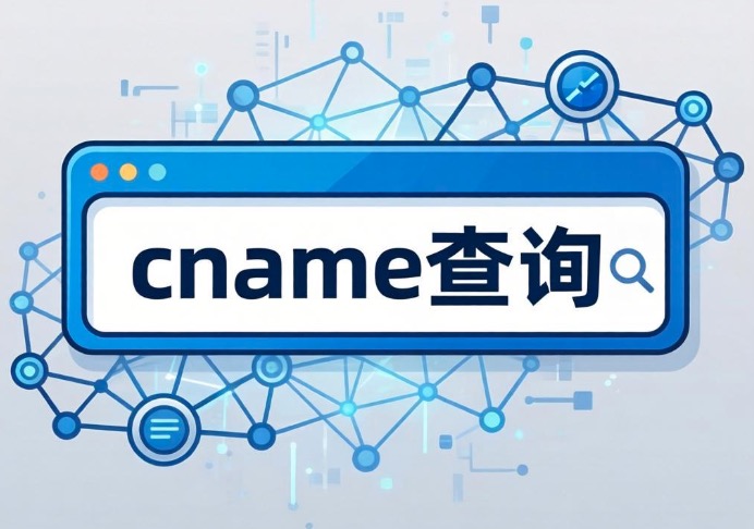 cname查询