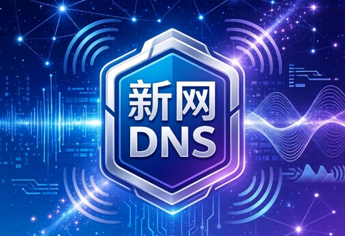 新网DNS