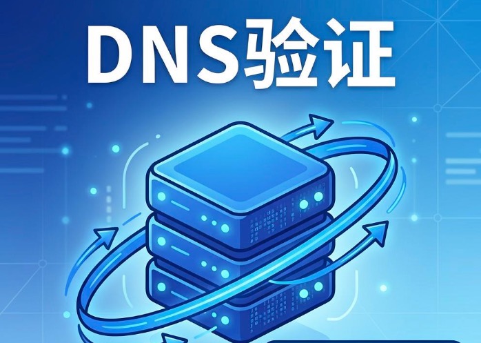 DNS验证