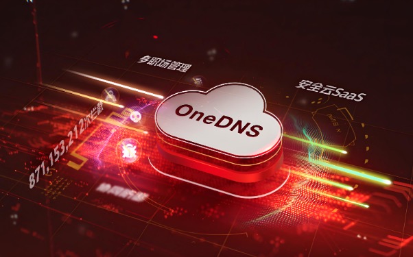 DNS选择