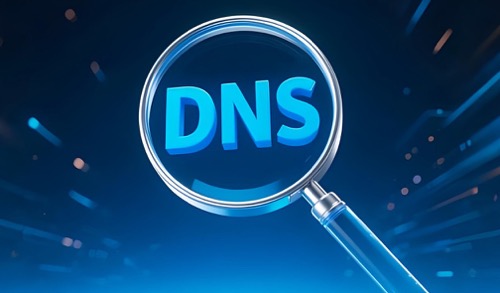 查询DNS