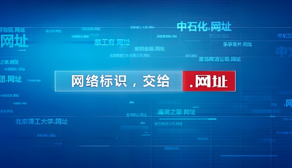 中文域名,域名注册