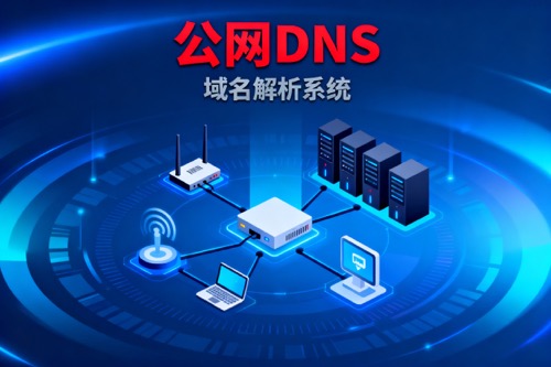 公网DNS,运营商DNS