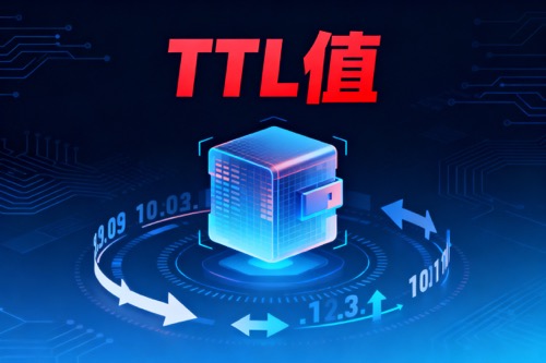 TTL值