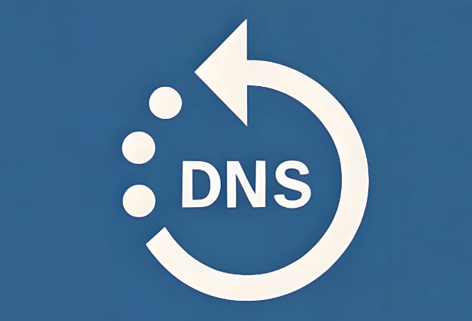 国内DNS