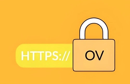 OVSSL证书