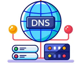 DNS反向查询