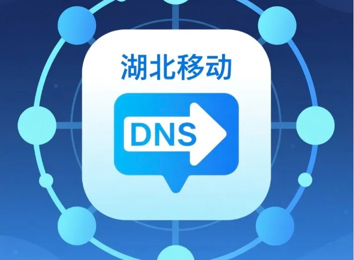湖北移动DNS