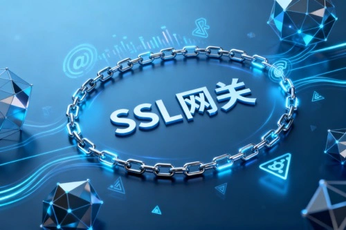 SSL网关