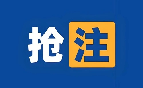 抢注域名