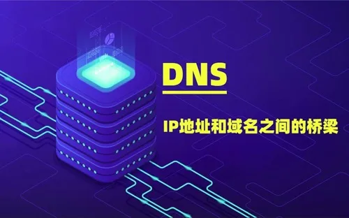 DNS地址