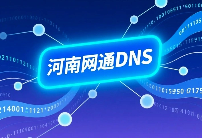 河南DNS