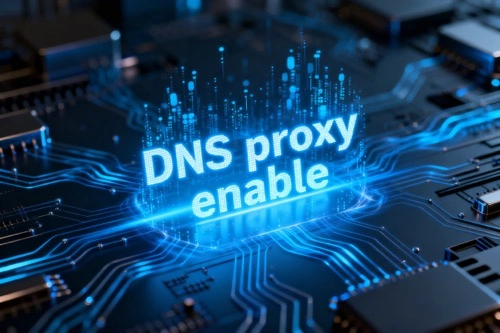 DNS proxy enable