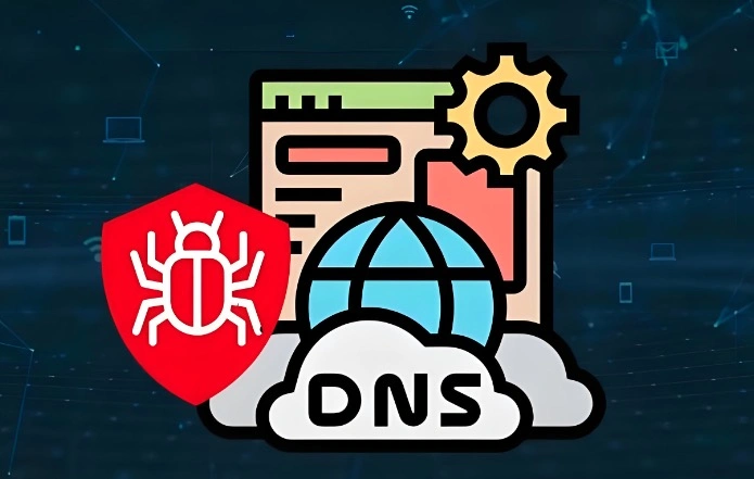 DNS滥用攻击