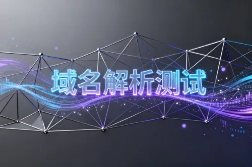 域名解析测试
