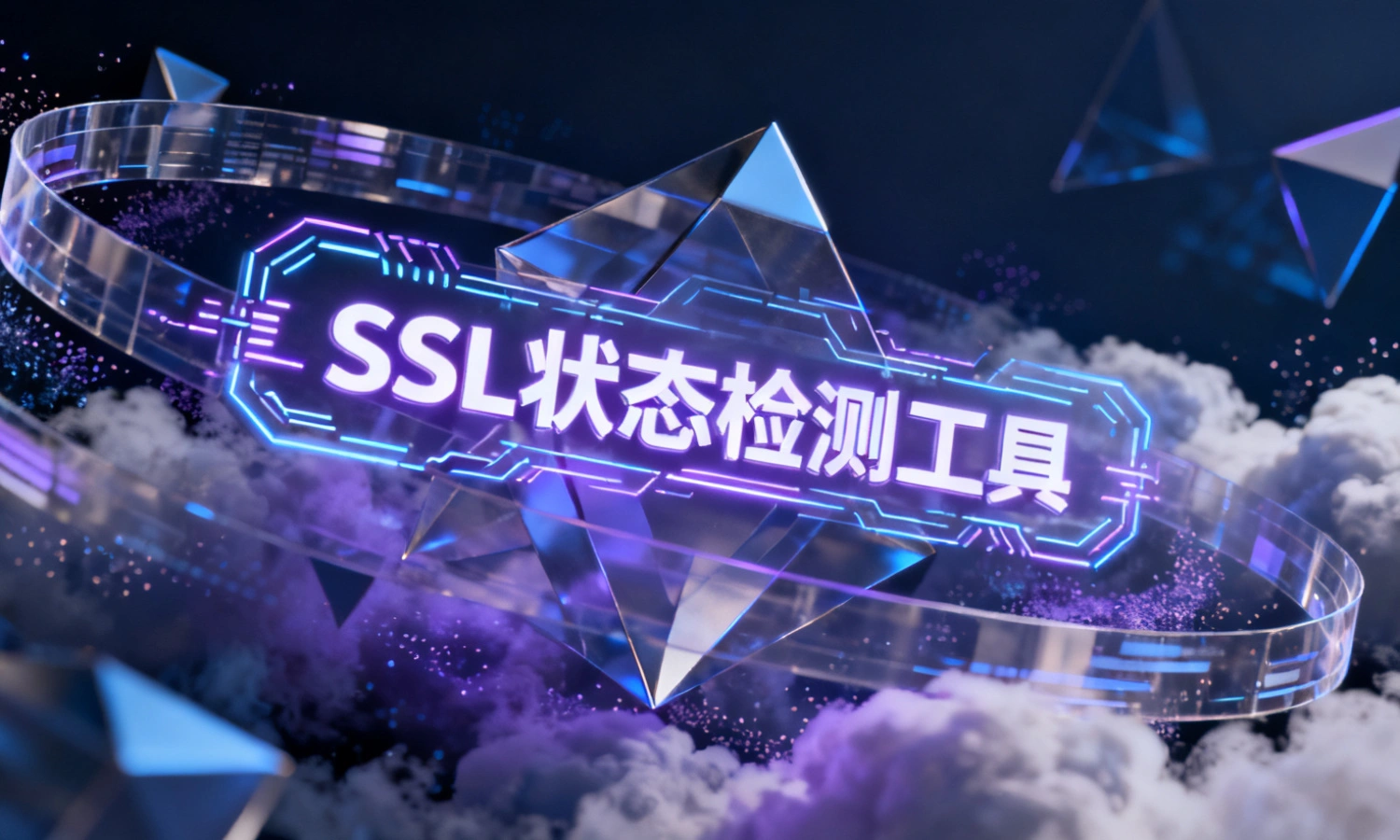 SSL状态检测工具
