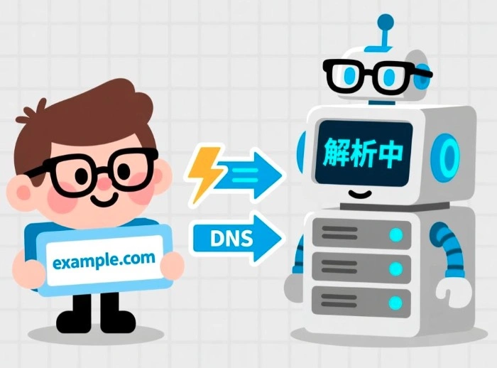 DNS在线
