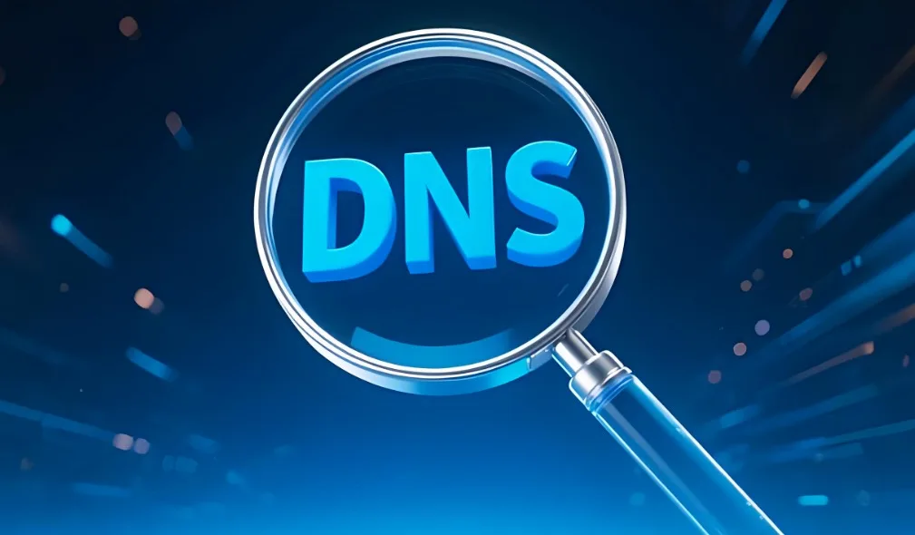 DNS查询方式