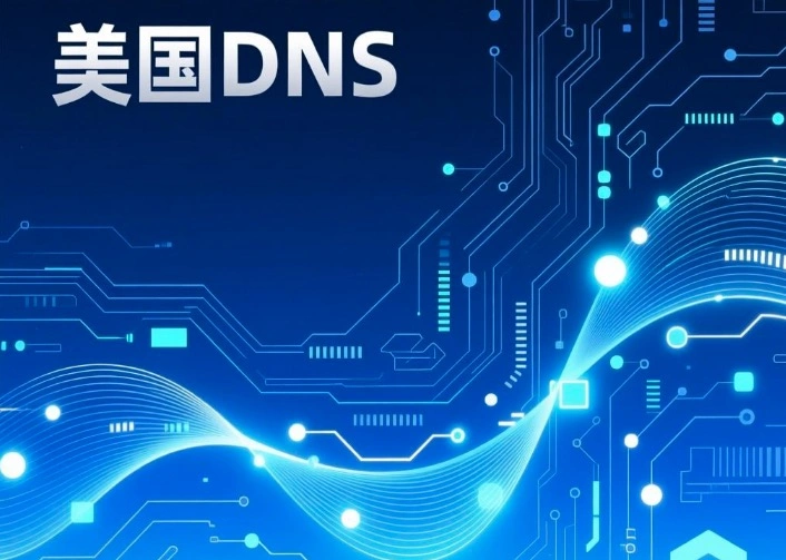 美国DNS