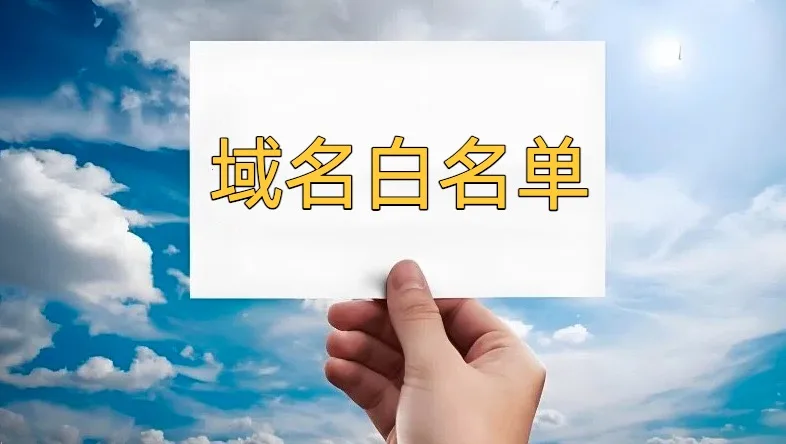 域名白名单