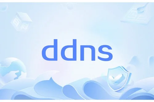 DDNS域名