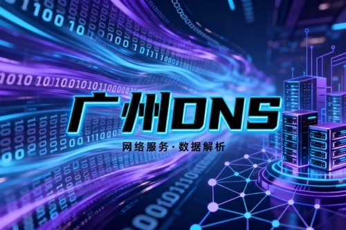 广州DNS