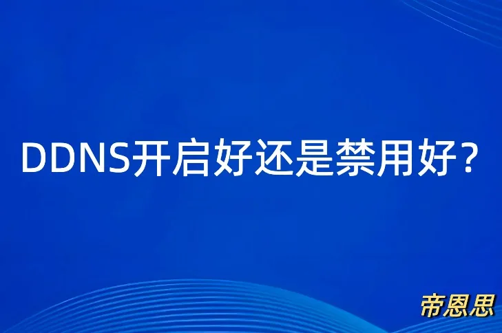 DDNS开启,DDNS禁用