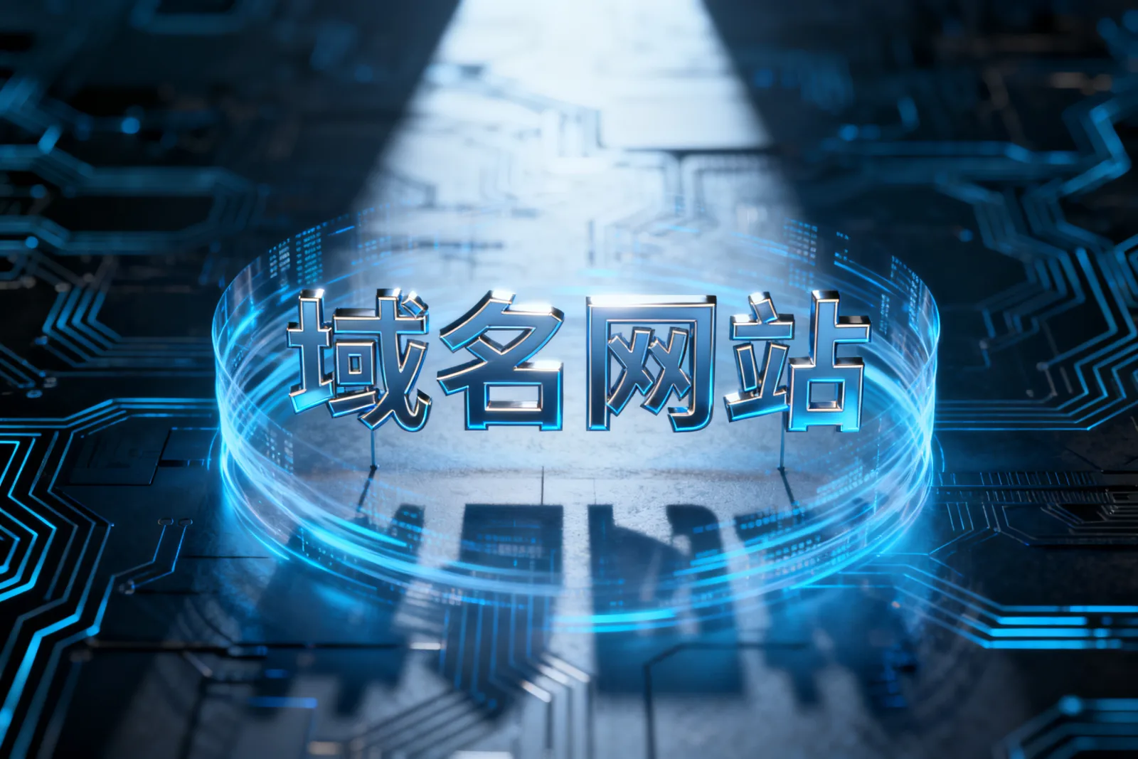 域名网站