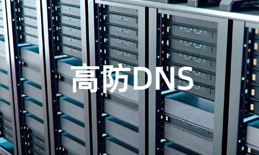 高防DNS