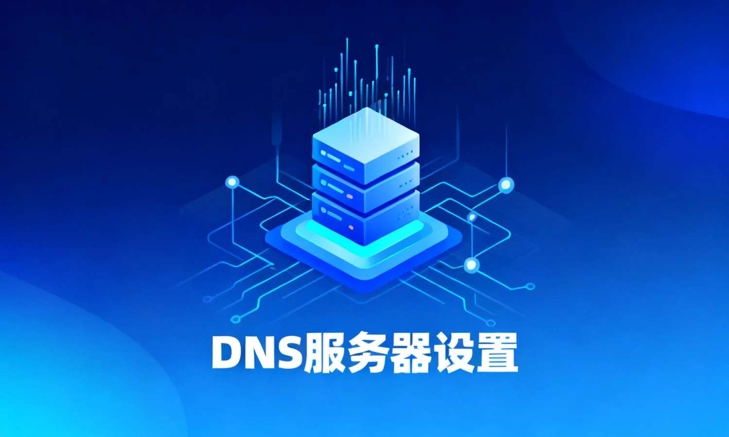 DNS服务器设置