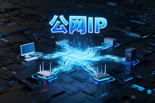 公网IP是什么意思？