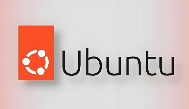 Ubuntu查看DNS