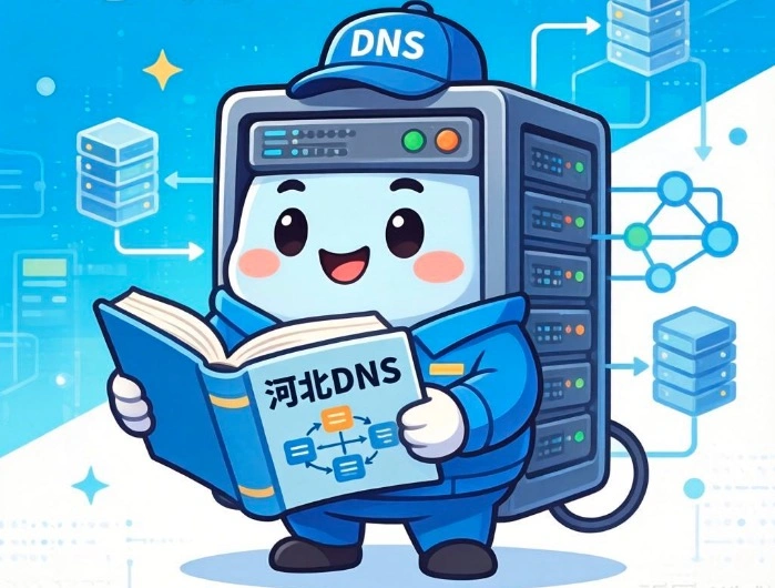 河北DNS