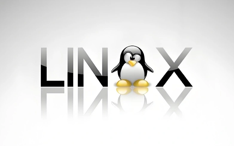 LinuxDNS