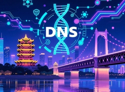 武汉DNS服务器地址